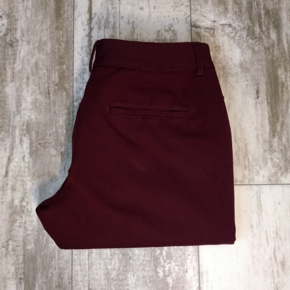 Express Editor Dress Pants